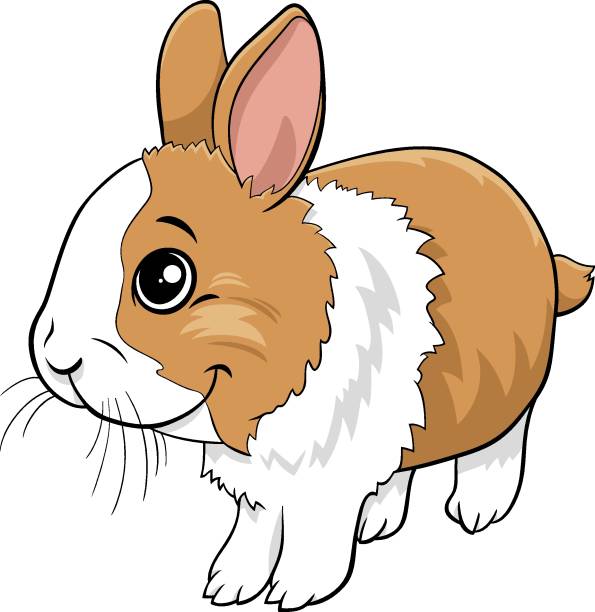 Lop Rabbit Cartoon 90+ Clip Art Of Lop Ear Rabbit Stock Illustrations, Royalty-Free Vector ...