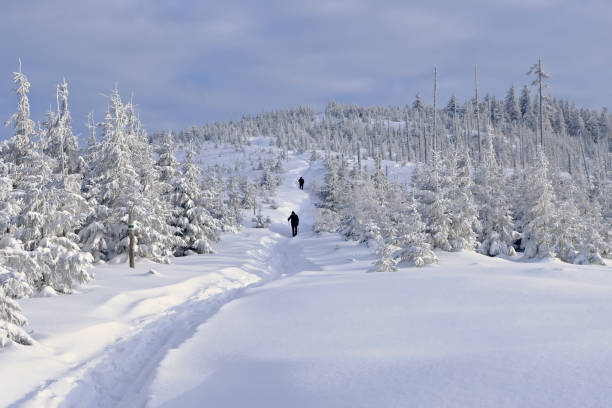 istock Winter in the mountains, two hikers on a snow-covered trail. 1297203976