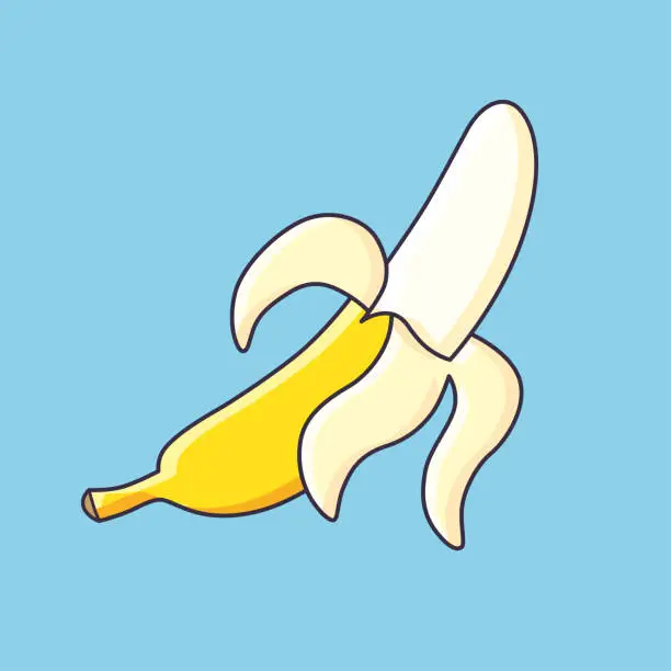 Vector illustration of Peeled banana vector