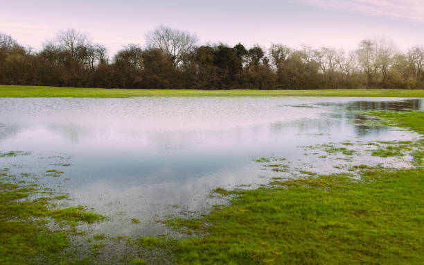 istock Flooding and poor drainage on open pasture on winter morniong. Beverley, UK. 1297206973