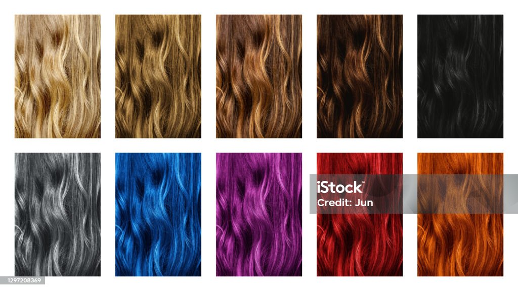Set Of Different Hair Color Samples Stock Photo - Download Image Now -  Human Hair, Hair, Colors - iStock