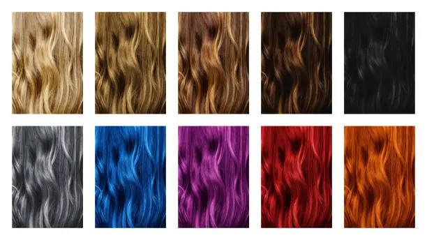 Photo of Set of different hair color samples