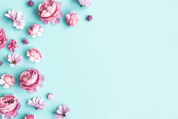 istock Flowers composition. Pink flowers on pastel blue background. Flat lay, top view 1297208645