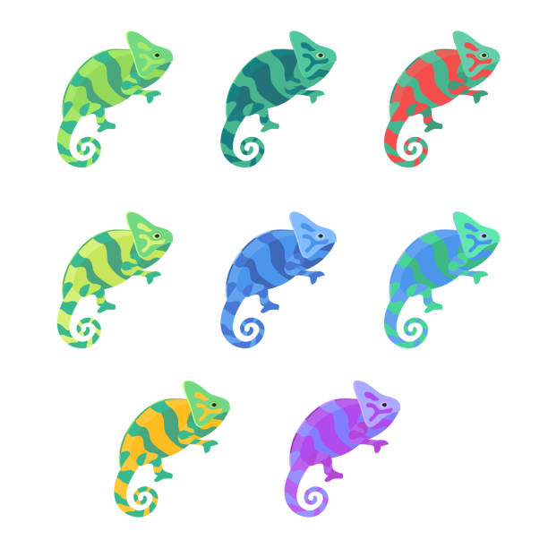 Chameleon Colorful Chameleon set. vector illustration chameleon stock illustrations