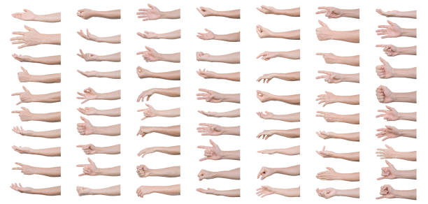 istock GROUP of Man hands gestures isolated over the white background 1297214418