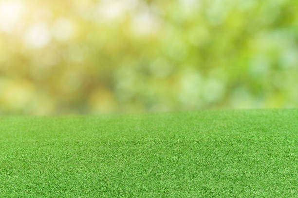 istock Green grass field over bokeh nature background. 1297215654