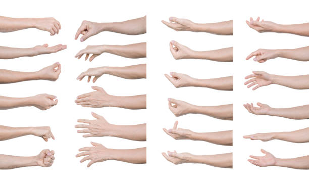 istock Multiple set of man hands gestures isolated on white background 1297216155