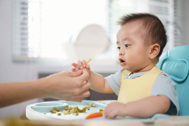 aziatische kleine baby ontvangt een babymaïs van haar handmoeder. een zoonzetel op een kinderstoel in de keuken thuis. een jongen die haar handmoeder bekijkt die een babymaïs houdt. - jongen peuter eten stockfoto's en -beelden