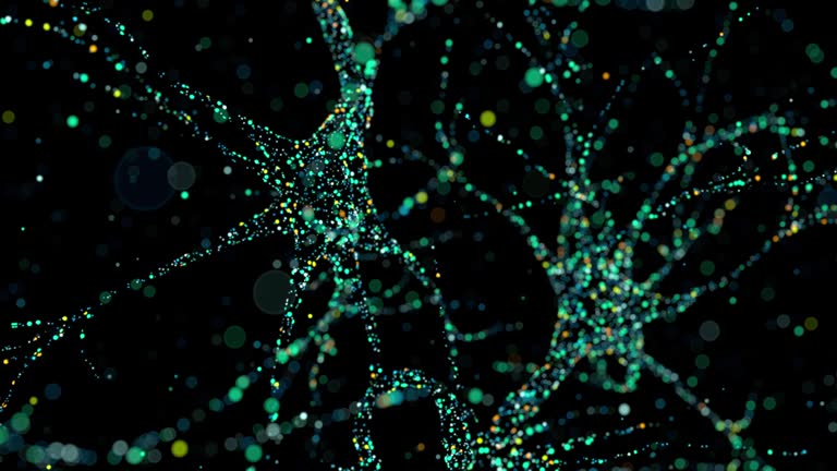 The nucleus of a neuron with multiple axons