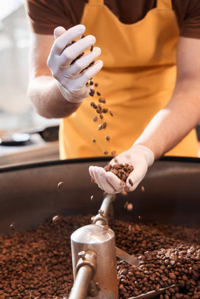 istock Master wearing protective gloves pours coffee beans from hand to hand 1297221944