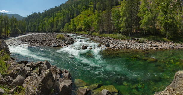 istock Rapid rivers of the Altai 1297224149