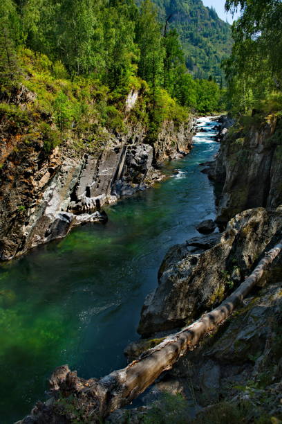 istock Rapid rivers of the Altai 1297224161