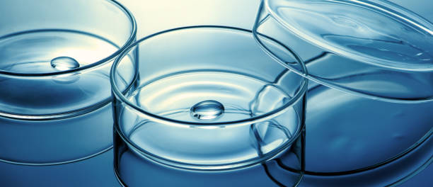 istock Clean glass petri dish with liquid drop inside over blue light background 1297224366