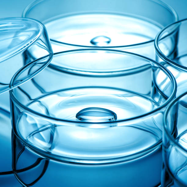 istock Clean glass petri dish with liquid drop inside over blue light background 1297224371