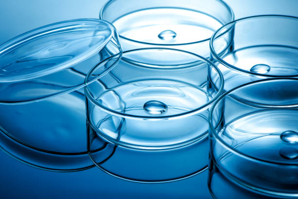 limpiar plato de petri de vidrio con gota líquida en el interior sobre fondo de luz azul - petri dish bacterium cell virus fotografías e imágenes de stock