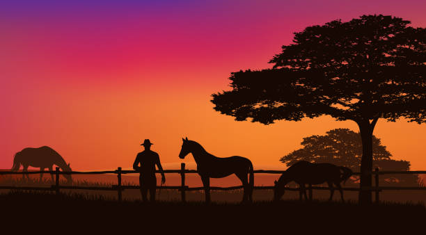 cowboy rancher and grazing horse herd at sunset vector silhouette outline cowboy and horse herd behind wooden fence - grazing animals and rancher at sunset field with trees vector silhouette landscape farm silhouettes stock illustrations
