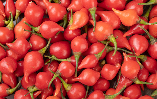 Closeup of a group of red pepper pout.