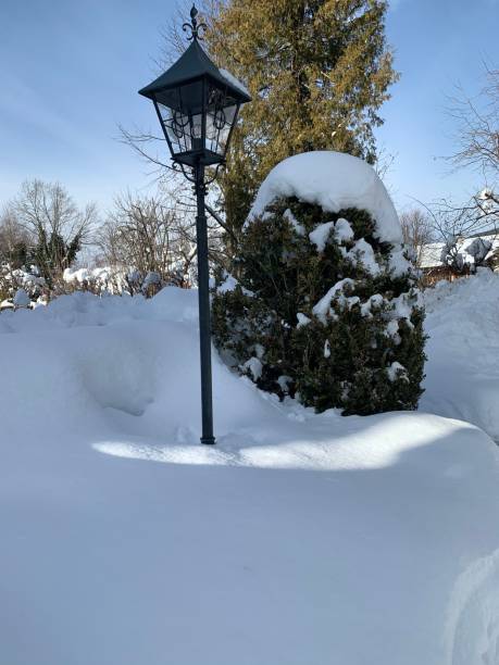 istock Street lamp in the snow 1297227738