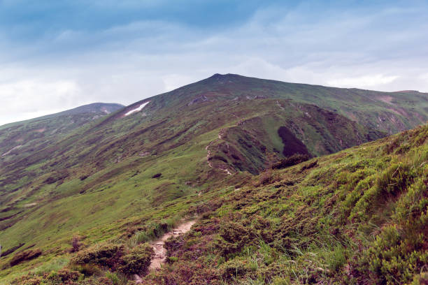 istock landscape of a Carpathians mountains 1297228856