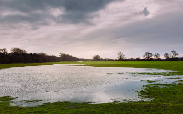 istock Flooding and poor drainage on open pasture after heavy rain in Beverley, Yorkshire, UK. 1297229045