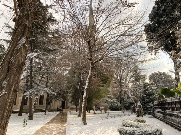 istock public park with snow in january first snow 1297230391