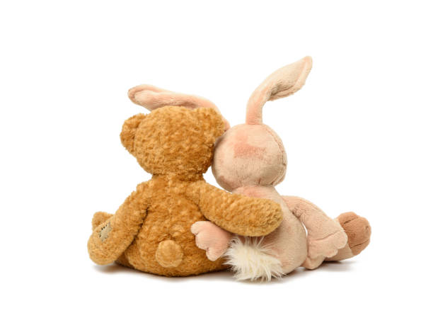 brown teddy bear and cute rabbit sit on white isolated background, toys sit with their backs hugging