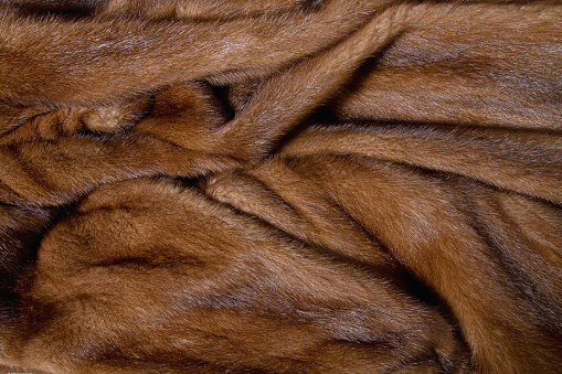close-up background from dark fur of wild animals