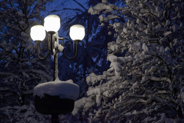 istock Street lamp shines with white light on winter night 1297234075