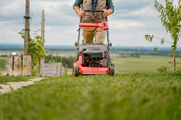 istock Man with lawn mower on grass 1297238590