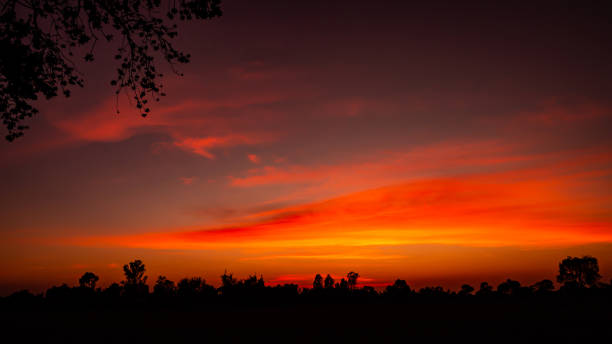 Tree silhouetted against a setting sun.Dark tree on open field dramatic sunrise.amazing sunset and sunrise.