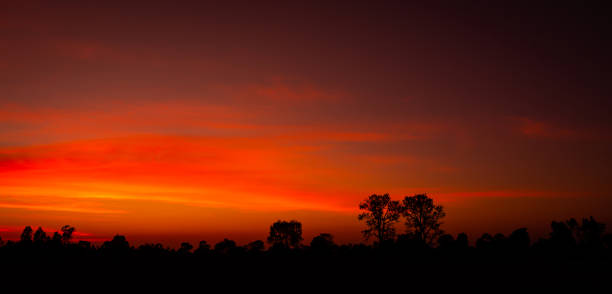 istock Tree silhouetted against a setting sun.Dark tree on open field dramatic sunrise.amazing sunset and sunrise. 1297240656