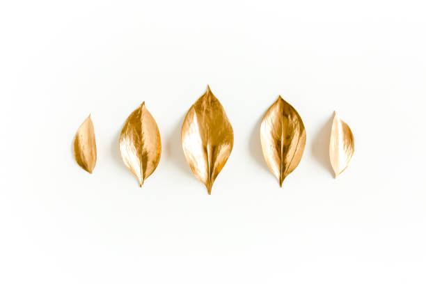 istock Pattern, texture with gold leaves isolated on white background. flat lay, top view 1297248699