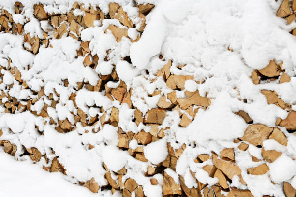 stack of wooden logs covered with fresh snow