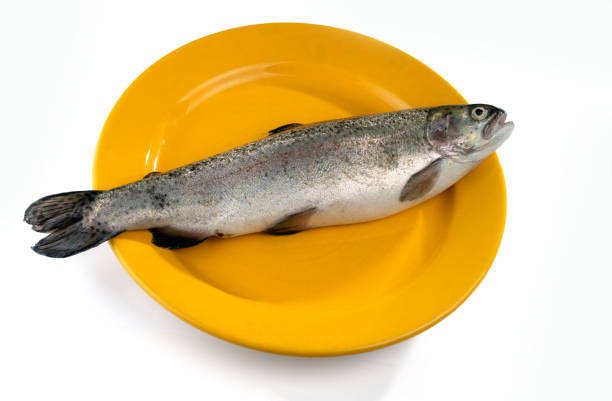 Fresh river trout on a yellow plate isolated on white background.