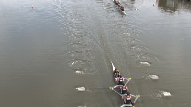 HD Rowing Race From Overhead