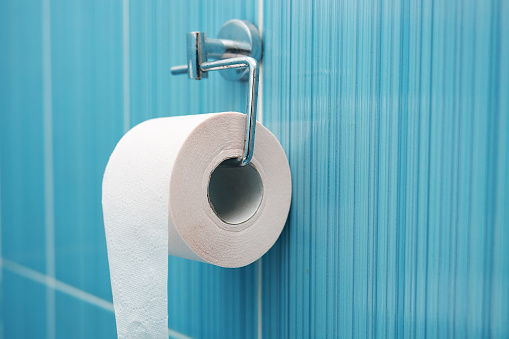 A roll of toilet paper hangs on a metal holder against a blue tile wall. Part of the toilet with space to copy