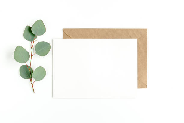 Mockup invitation, blank greeting card and green leaves eucalyptus. Flat lay, top view