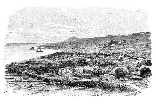 ilustrações de stock, clip art, desenhos animados e ícones de the bay of funchal seen from the east - funchal