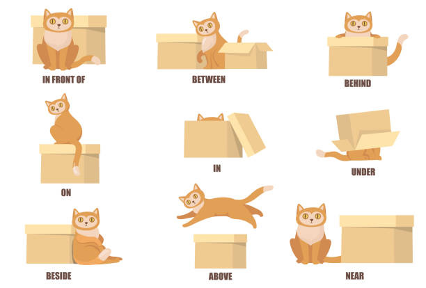 고양이와 상자의 도움으로 전치를 학습 - cat box stock illustrations