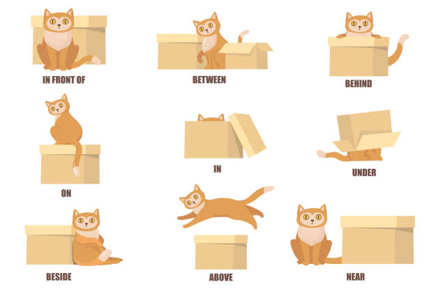 ilustrações de stock, clip art, desenhos animados e ícones de learning prepositions with help of cat and box - cat box