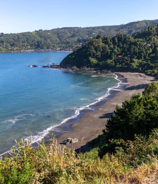 istock Chilean Pacific coast. Black beach in shuthern Chile 1297268594