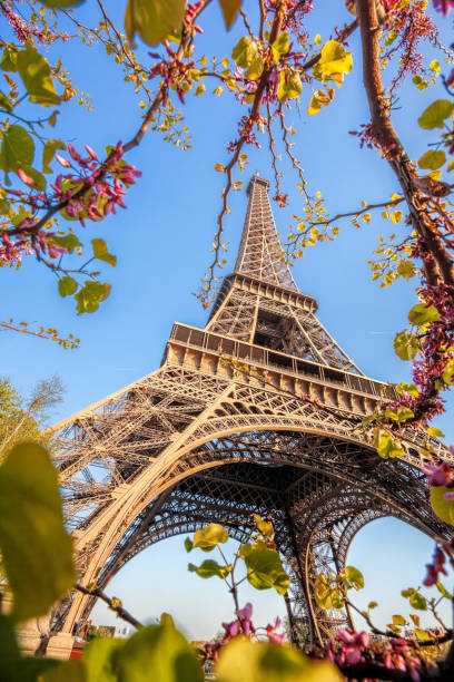 istock Eiffel Tower with spring trees against blue sky in Paris, France 1297268795
