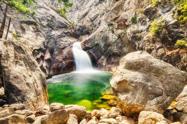 roaring river falls nel kings canyon national park, california, usa - kings park foto e immagini stock