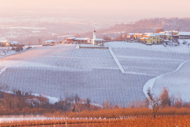 istock Italy Piedmont: Barolo wine yards unique landscape winter sunset, sunburst over the Alps snow capped mountains background, italian historical heritage grape agriculture 1297270536