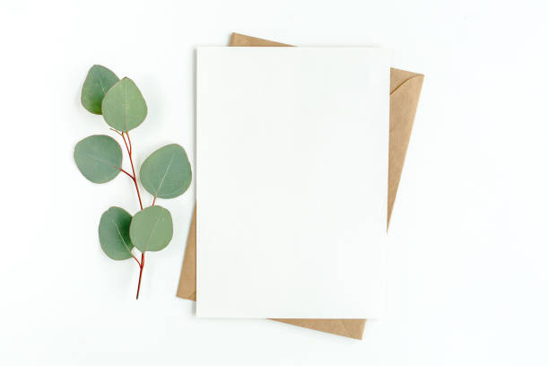 istock Mockup invitation, blank greeting card and green leaves eucalyptus. Flat lay, top view 1297270831