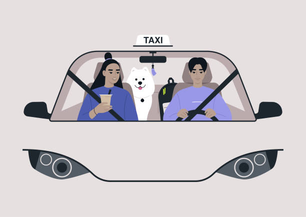 ilustraciones, imágenes clip art, dibujos animados e iconos de stock de una vista frontal de un taxi, un conductor y un pasajero en un asiento delantero con un perro en un asiento trasero, estilo de vida urbano - back seat illustrations