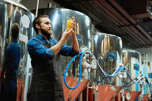 Young bearded brewery master with glass of beer in his hand evaluating its visual characteristics after preparation during work in processing plant