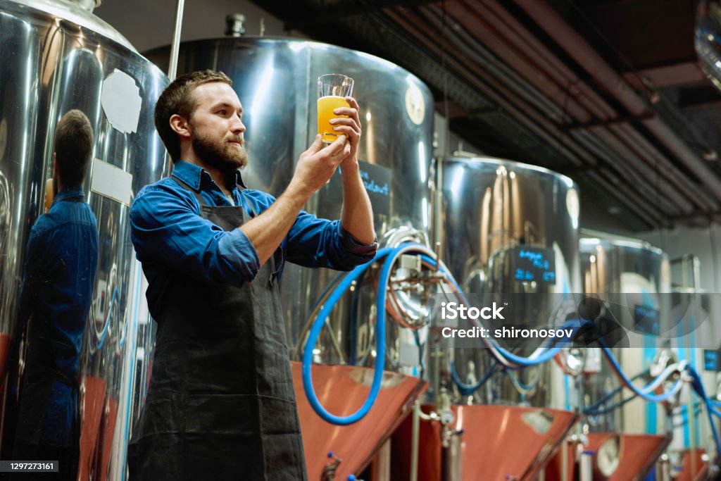 Brewery master with glass of beer in hand evaluating its visual characteristics Young bearded brewery master with glass of beer in his hand evaluating its visual characteristics after preparation during work in processing plant Brewery Stock Photo