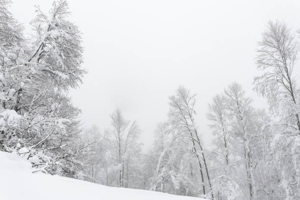 paisaje blanco durante la temporada de invierno en altopiano di asiago italia - sport magazine day usa fotografías e imágenes de stock