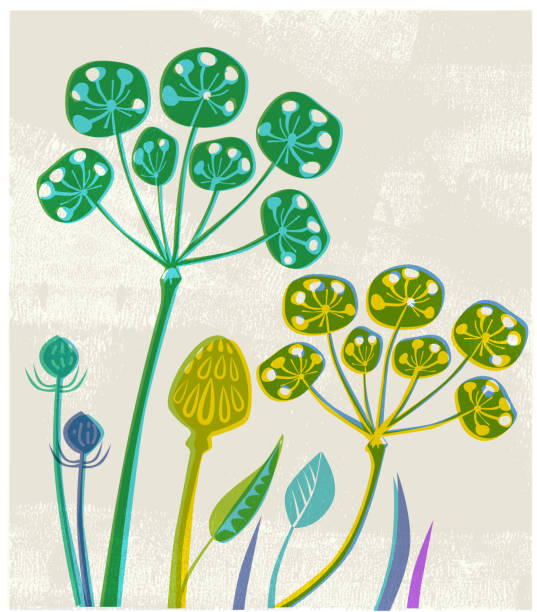 Countryside scene with Wild Flowers and seed heads Rural scene in hand crafted wood cut or lino cut print style. Wild Flowers, seed heads,  Wildlife, autumn, fall, seeds, cow parsley stock illustrations